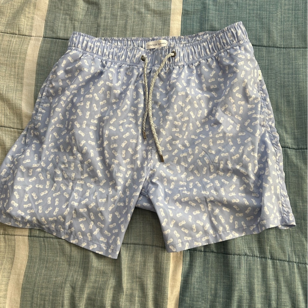 Vintage Summer Pineapple Swim Trunks, Men’s Large Lavender